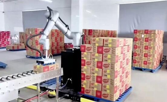 im电竞协作码垛典型应用：零食纸箱码垛